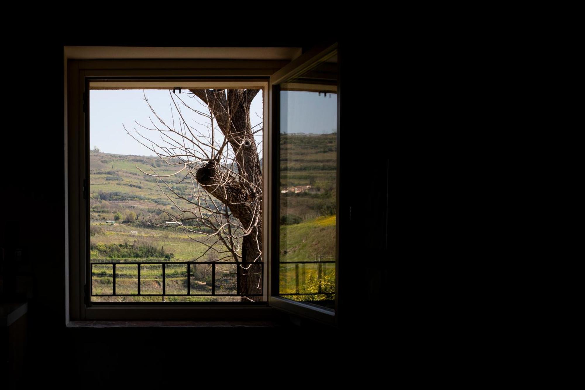 Corte dei Soavi - Apartments Soave  Esterno foto